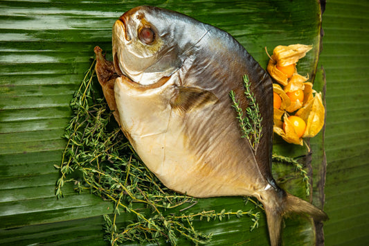 Hot Smoked  Pompano (whole) 0.9 - 1.1 lb.