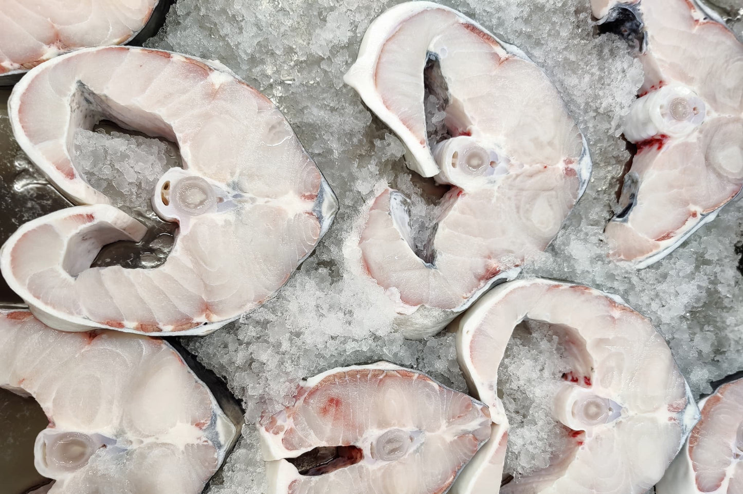 White Sturgeon Steak Frozen 1.3 - 1.5 lb.