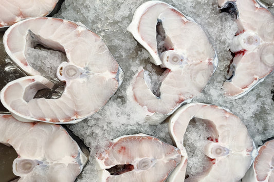 White Sturgeon Steak Frozen 1.3 - 1.5 lb.
