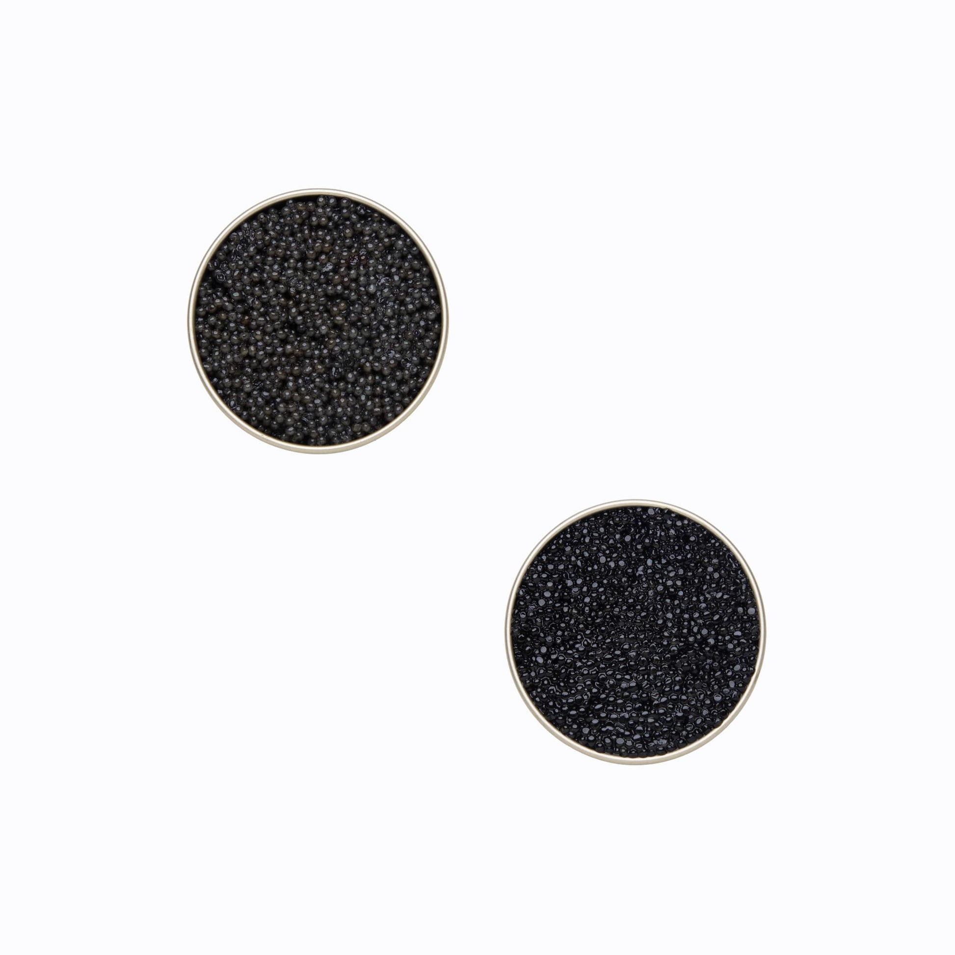 Wild American Hackleback 1.76 oz and Paddlefish Caviar 1.76 oz Tasting Set, open.